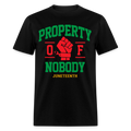 PROPERTY OF NOBODY JUNETEENTH UNISEX SHIRT